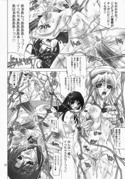 Page 23 of Sailor Mariners Kanzenban
