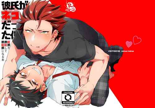 Download Kareshi ga Neko datta Ken.