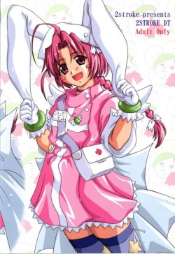 Page 28 of 2Stroke DT