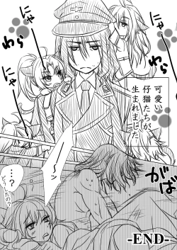 Page 7 of ねこるかさんの飼い方