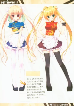 Page 10 of retrieve #17