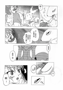 Page 15 of La renarde lunaire