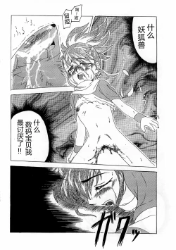 Page 21 of La renarde lunaire