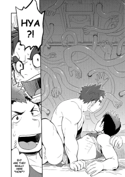 Page 27 of DOBLE WHIP ESCALATIONE | Double Whip Escalation