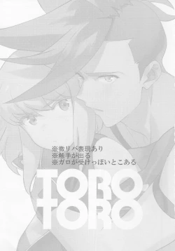 Page 2 of TOROTORO