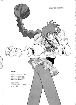 Page 13 of SuVariable Geo Only