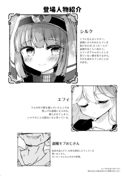 Page 3 of FEHシルクちゃん実装おめでとう記念