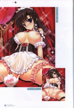 Page 19 of Manatsu no Yoru no YukimonogatariVisual Fanbook