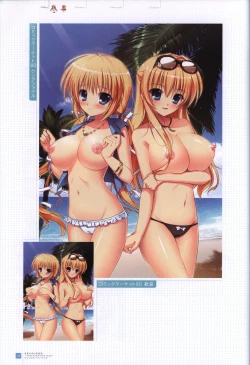 Page 33 of Manatsu no Yoru no YukimonogatariVisual Fanbook