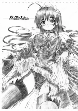 Page 1 of S.T.G. Yoru no Toppatsu ga hou