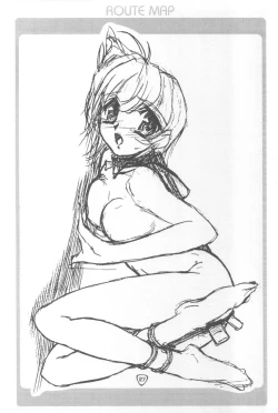 Page 26 of - Route Map 3