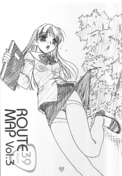 Page 2 of - Route Map 3