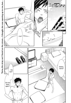 Page 41 of Sanchoume no Tama | Tama from Third Street