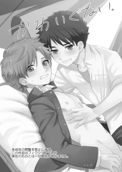 Page 2 of Kawaikunai.