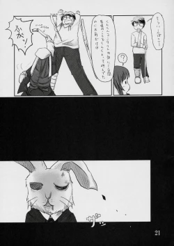 Page 20 of Kodora Plus