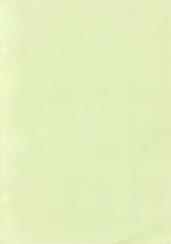 Page 20 of Saigo no Menzaifu