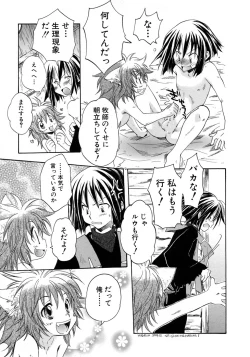 Page 245 of Shounen Ai No Bigaku 10 The Asadachi