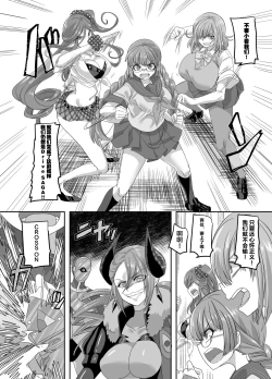 Page 13 of Saikyou no Seigi no Hero wa Kagami no Naka dewa Saijaku no Kaijin