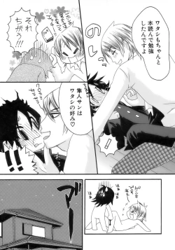 Page 187 of Shounen Ai No Bigaku 12 The Otouto