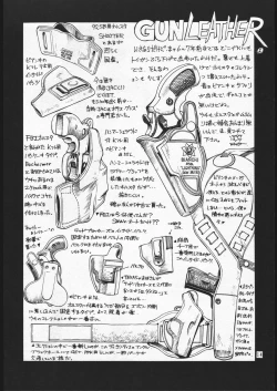 Page 13 of Handgun Nation