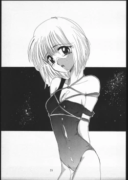 Page 24 of Handgun Nation