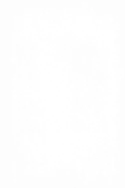 Page 19 of Kimi to no Kiseki