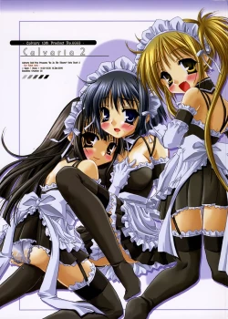 Page 1 of Calvaria 2