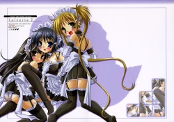 Page 2 of Calvaria 2