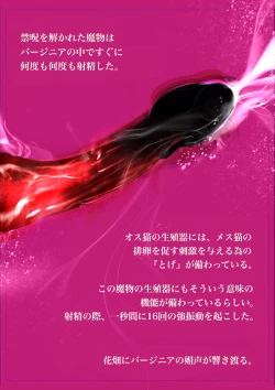 Page 25 of Salem & Virginia