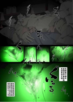 Page 13 of Namaiki na Hahaoya o Honnin ni mo Kizukarezu ni Minkan Suru Houhou | 家庭內夜襲的入門書、對傲慢的母親睡眠強姦的方法