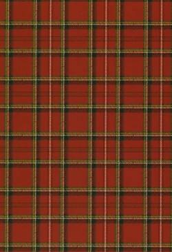 Page 15 of Youichi ga Maid Fuku Kite kureru Hon