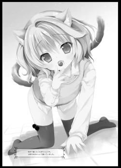 Page 12 of Koneko no Kaikata