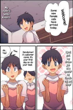 Page 4 of Honjitsu, Joshi Neko Nyuuka Shimashita! | New Female Cats in Stock Today