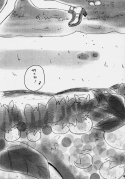 Page 20 of liliput step