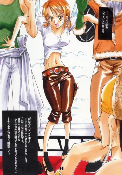 Page 2 of Nami-chan to Hitobanjuu