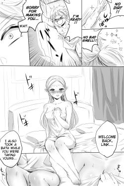 Page 3 of BreaWi no LinZel ga Hitasura Ichaicha Shite Sukebe na Koto Suru Manga | A BoTW manga where Link and Zelda earnestly flirt and do lewd things