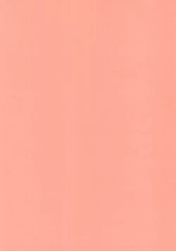 Page 25 of Kawaii Hito