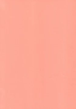 Page 2 of Kawaii Hito