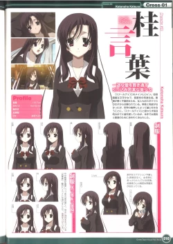 Page 16 of Cross Days Visual Fan Book