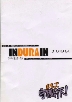 Page 13 of Transparent link