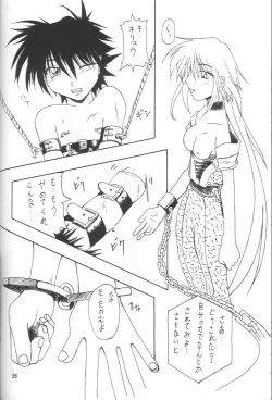 Page 25 of Shugogetten