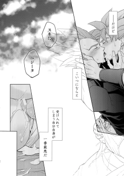 Page 51 of Saiai 2015