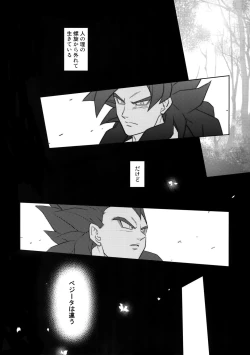 Page 7 of Saiai 2015