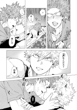 Page 19 of Iwarenakute mo Wakan da yo!