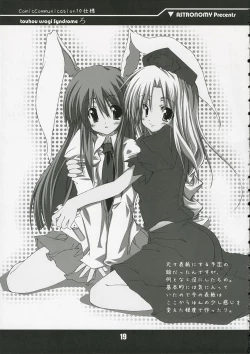 Page 19 of touhou usagi Syndrome Ro