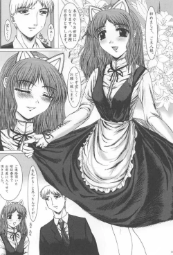 Page 10 of illegal Auctions.