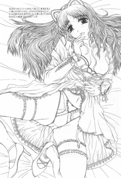 Page 2 of illegal Auctions.