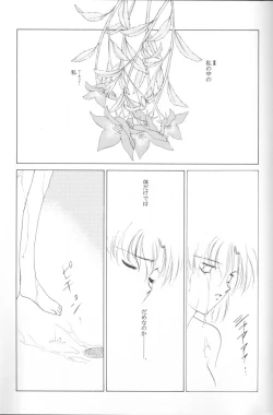 Page 30 of AM FANATIC