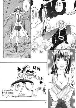 Page 27 of Model EX 2