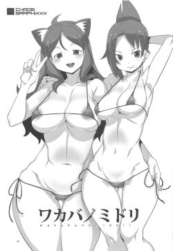 Page 2 of Wakaba no Midori